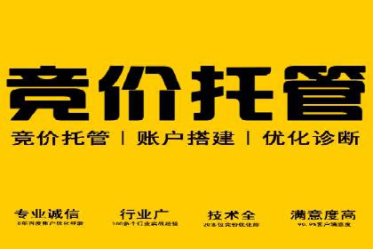 案例解析：托管SEM竞价助力企业腾飞